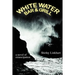 White Water Bar & Grill: a novel of emancipation