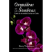 Orquídeas en las sombras: Entre la oscuridad y la luz en Cuba