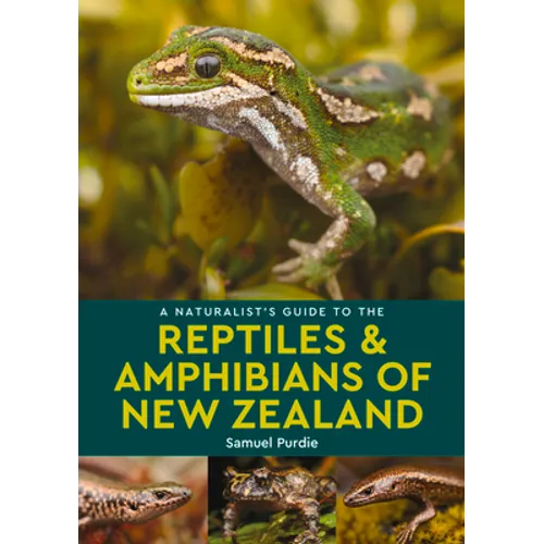 A Naturalist's Guide to the Reptiles & Amphibians of New Zealand