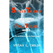 Splintered: Brokenness in the Political Arena: Are We Sacrificing America for Political Gain?