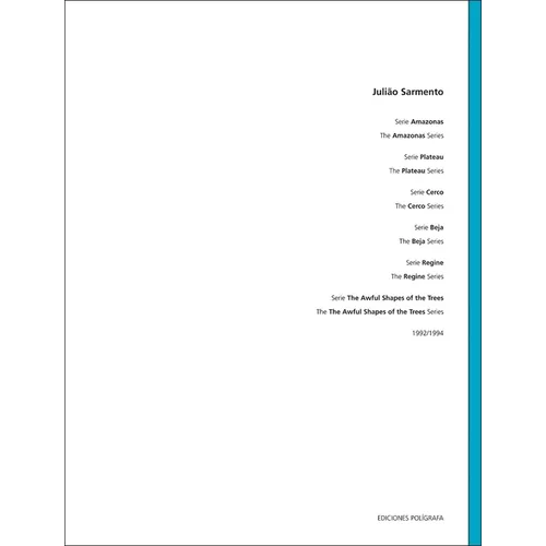 Julião Sarmento: Series Volume 3