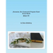 Formation for Consecrated Virginity Lived in the World: Phase II