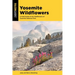Yosemite Wildflowers