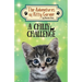 A Chilly Challenge: The Adventures of Kitty Corner Book 5