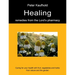 Healing remedies from the Lord's pharmacy - Volume 1: Caring for your health with fruit, vegetables and herbs from nature and the garden
