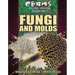 Fungi and Molds