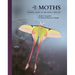 The Lives of Moths: A Natural History of Our Planet's Moth Life