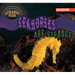Seahorses Are Strange