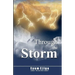 Through The Storm