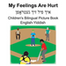 English-Yiddish My Feelings Are Hurt Children's Bilingual Picture Book