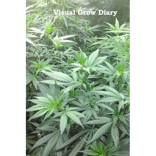 Visual Grow Diary