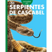 Curiosidad Por Las Serpientes de Cascabel