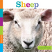 Seedlings: Sheep