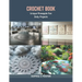 Crochet Book: Unique Pineapple Fan Doily Projects