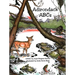 Adirondack ABCs