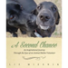 A Second Chance: An Inspirational Journey through the Eyes of an Animal Shelter Volunteer