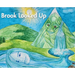 Brook Looked Up