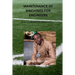 maintenance of machines for Engineers: How to maintain machines