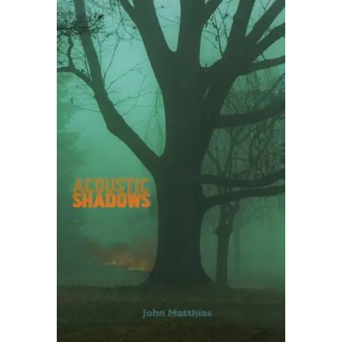 Acoustic Shadows