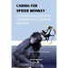 Caring for Spider Monkey: A Handbook Guide in Owning a Pet Spider Monkey