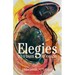 Elegies to a Dark Goddess: A Compact Poetic Memoir of Creativity and the Power of the Divine Feminine