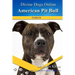 American Pit Bull Terriers