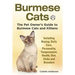 Burmese Cats, The Pet Owner's Guide to Burmese Cats and Kittens Including Buying, Daily Care, Personality, Temperament, Health, Diet, Clubs and Breede