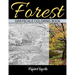 Forest Grayscale Coloring Book: Adult Coloring Book. Beautiful Images of the Forest.