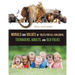 Morals and Values of Tales for All Children, Teenagers, Adults, and Old Folks