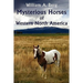 Mysterious Horses of Western North America