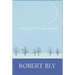 Looking for Dragon Smoke: Essays on Poetry
