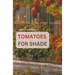 Shade Tolerant Tomato Varieties: 28 varieties, 7 tips and motivation for growing in the shade
