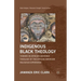 Indigenous Black Theology: Toward an African-Centered Theology of the African American Religious Experience