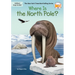 Where Is the North Pole?