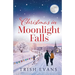 Christmas in Moonlight Falls