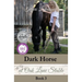Dark Horse at Oak Lane Stable