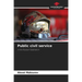 Public civil service