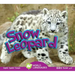 Snow Leopard
