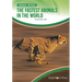 The Fastest Animals in the World