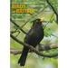 Identification Guide to Birds of Britain & Northern Europe