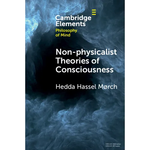 Non-physicalist Theories of Consciousness