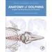 Anatomy of Dolphins: Insights Into Body Structure and Function