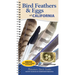 Bird Feathers & Eggs of California: Identify 40 Species of Common Backyard Birds
