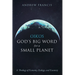 Oikos: God's Big Word for a Small Planet: A Theology of Economy, Ecology, and Ecumeny