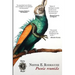 Poesía reunida