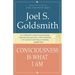 Consciousness Is What I Am