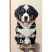 It's Time to Learn about Bernese Mountain Dogs