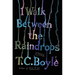 I Walk Between the Raindrops