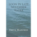 Loon In Late November Water