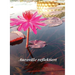 Auroville reflektiert